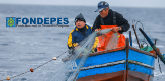Pescadores artesanales: Gobierno suspende cobros por oleajes anómalos