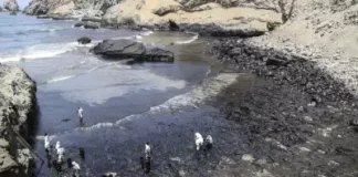 Abren investigación contra Repsol y Minen