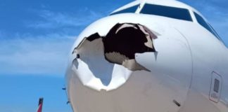 Avión aterriza de emergencia en Brasil tras chocar con pájaro