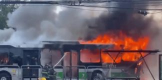 Avión cae en Brasil y deja dos muertos