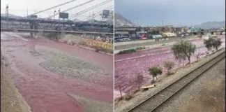 Sedapal descartó afección en plantas de captación