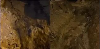 Alcalde de Punta Hermosa precisó que huaico arrasó con granjas