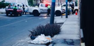 Asesinan a policía por lingote de oro