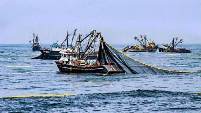 MEF recuperación económica