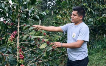 Joven peruano conquista el mundo con su café Joven peruano conquista el mundo con su café