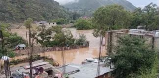 Desborde del río Huallaga provoca inundaciones