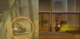 Comas: Delincuentes detonaron atefacto explosivo en colegio