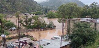 Exdirigente ganadero pide la creación de una autoridad autónoma