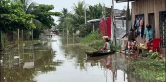 Ucayali: Más de 140 colegios están afectados por inundaciones