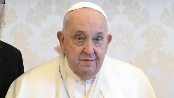 papa Francisco papa Francisco