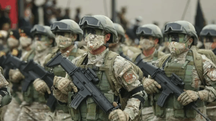 Gobierno publicó ley que regula el uso de la fuerza a las FF.AA