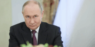 Vladimir Putin anuncia tregua por 80 aniversario de victoria en la II Guerra Mundial