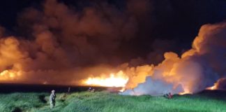 Incendio forestal consume más de 4 hectáreas del Santuario Nacional Lagunas de Mejía