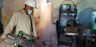 Más de 1 700 casos y dos muertes por dengue en Jaén