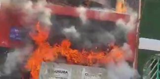Ardió albergue de animales en SJL