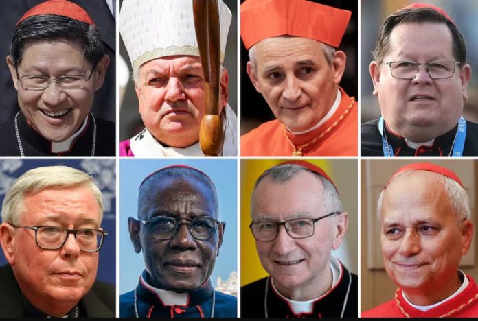 Cardenales que podrían suceder al papa Francisco y convertirse en el próximo Sumo Pontífice