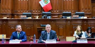 Comisión de Constitución