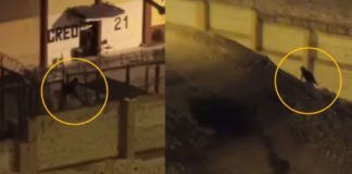 Fuga de un reo del Penal de Lurigancho