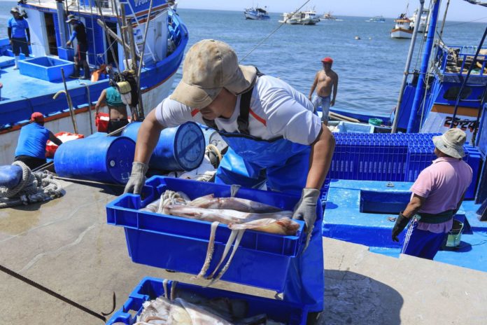 Produce promueve consumo seguro