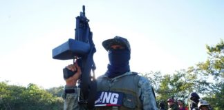 cárteles de la droga