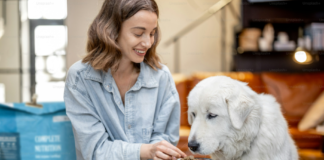 darle de comer a tu perro