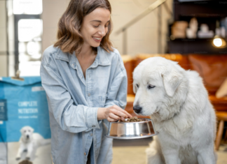 darle de comer a tu perro