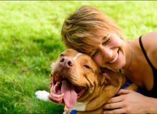 hacer feliz a tu perro