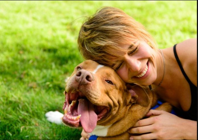 hacer feliz a tu perro