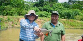 El pez paco impulsa la economía y protege más de 52,000 hectáreas