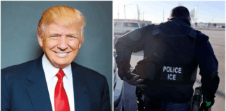 Trump permite la permanencia de estudiantes extranjeros