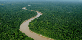 EE.UU. recomienda a sus gente no viajar a frontera del Putumayo