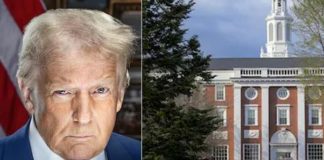 Donald Trump ‘Pecha’ a Harvard por extranjeros
