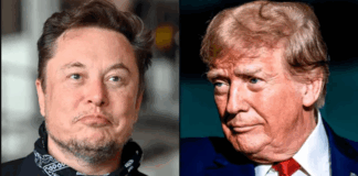 Elon Musk y Donald Trump