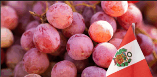 Exportación de uvas