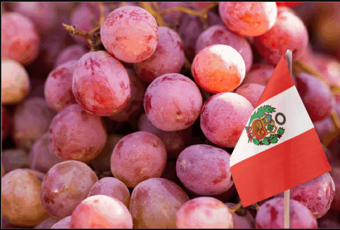 Exportación de uvas