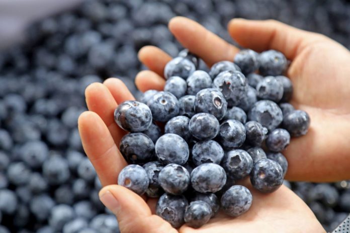 Gobierno autoriza ingreso al país