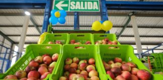 Gran Mercado Mayorista de Lima