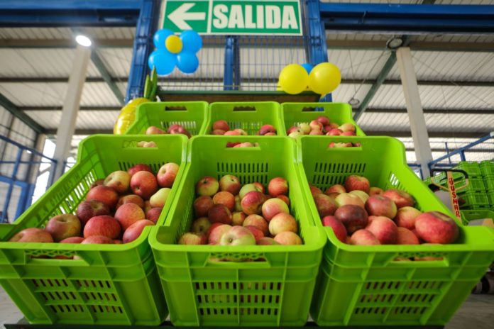 Gran Mercado Mayorista de Lima Gran Mercado Mayorista de Lima