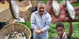 Llueven peces en Honduras