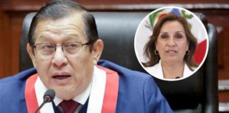 Salhuana “Es impertinente debatir el sueldo de Dina”