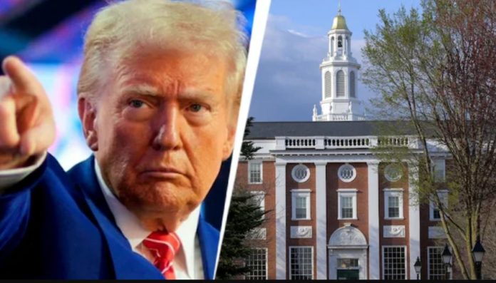 Trump bota a estudiantes extranjeros en Harvard Trump bota a estudiantes extranjeros en Harvard