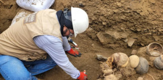 Hallan momia de más de mil años durante instalación de gas