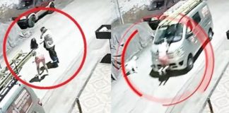 María Andreina Farías Torres