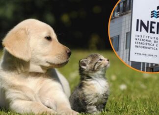 Medio Perú tiene un perro en casa