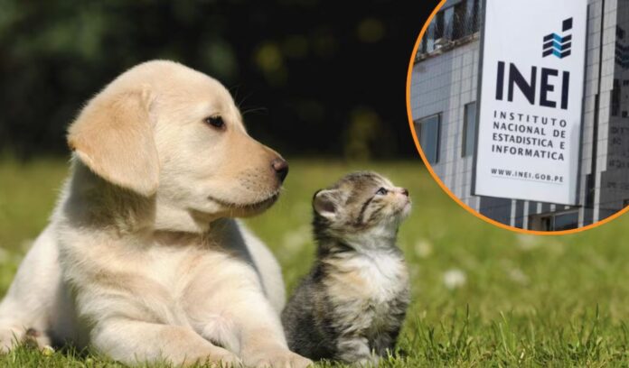 Medio Perú tiene un perro en casa Medio Perú tiene un perro en casa