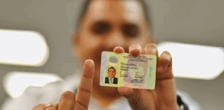 brevete o licencia de conducir internacional en Perú