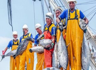 Pesca genera 400,000 empleos directos y exporta US$ 3,600 millones
