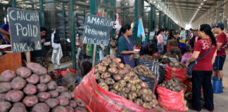 Midagri niega desabastecimiento en mercados por bloqueo
