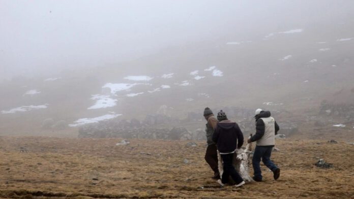 VMT soporta más de 5 horas de llovizna persistente