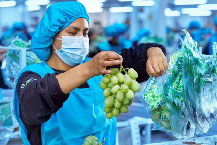 Agroexportaciones peruanas sumaron US$ 4,578 millones